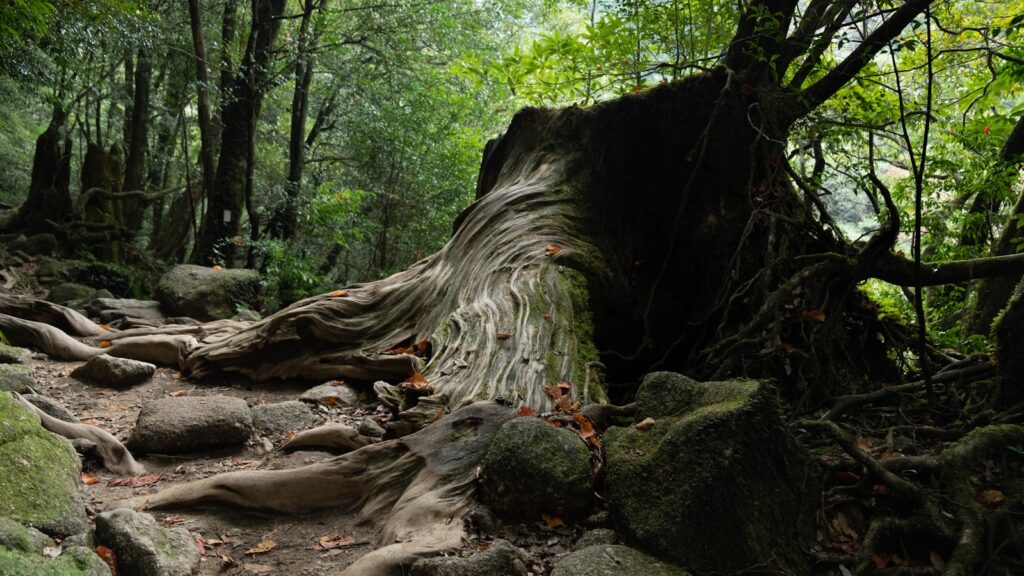 25 Japan UNESCO World Heritage Sites