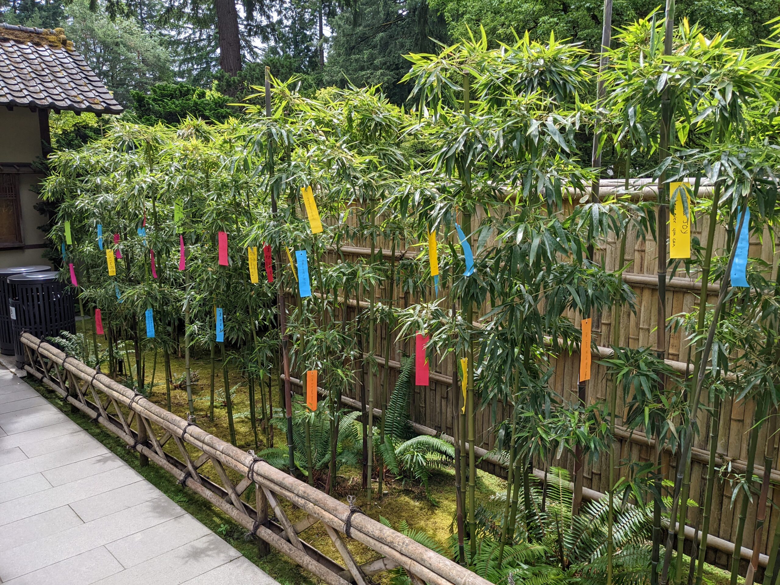 A Foreign Parent's Guide to Tanabata: Embrace the Magic of Japan’s Star Festival