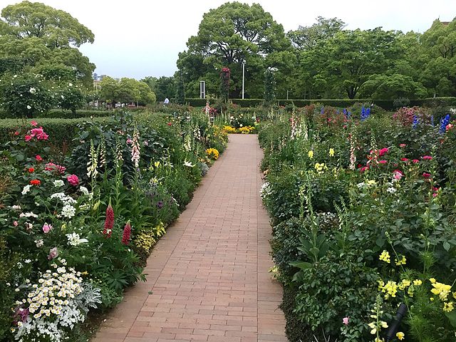 Yamashita Park: A Stunning Waterfront Oasis in Yokohama