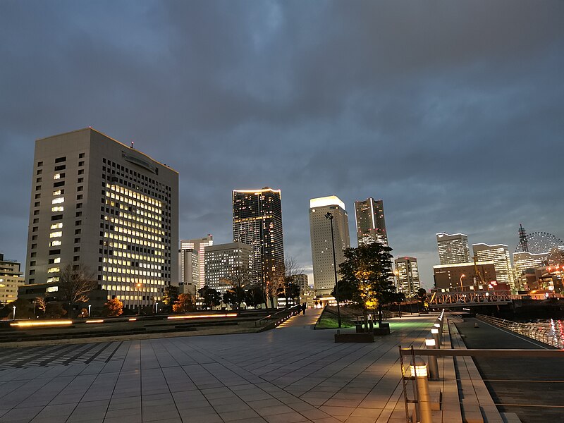 Zou no Hana: Explore the Unique Charm of Elephant Nose Park in Yokohama