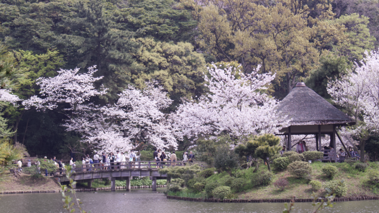 Sankeien Garden: Experience the Timeless Beauty of This Must-Visit Spot in Yokohama