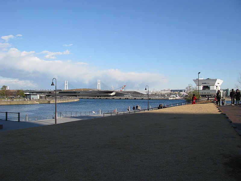 Zou no Hana: Explore the Unique Charm of Elephant Nose Park in Yokohama