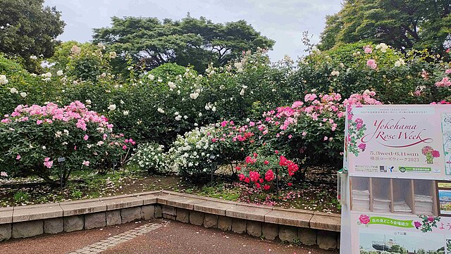 Harbor View Park: A Scenic Gem in Yokohama