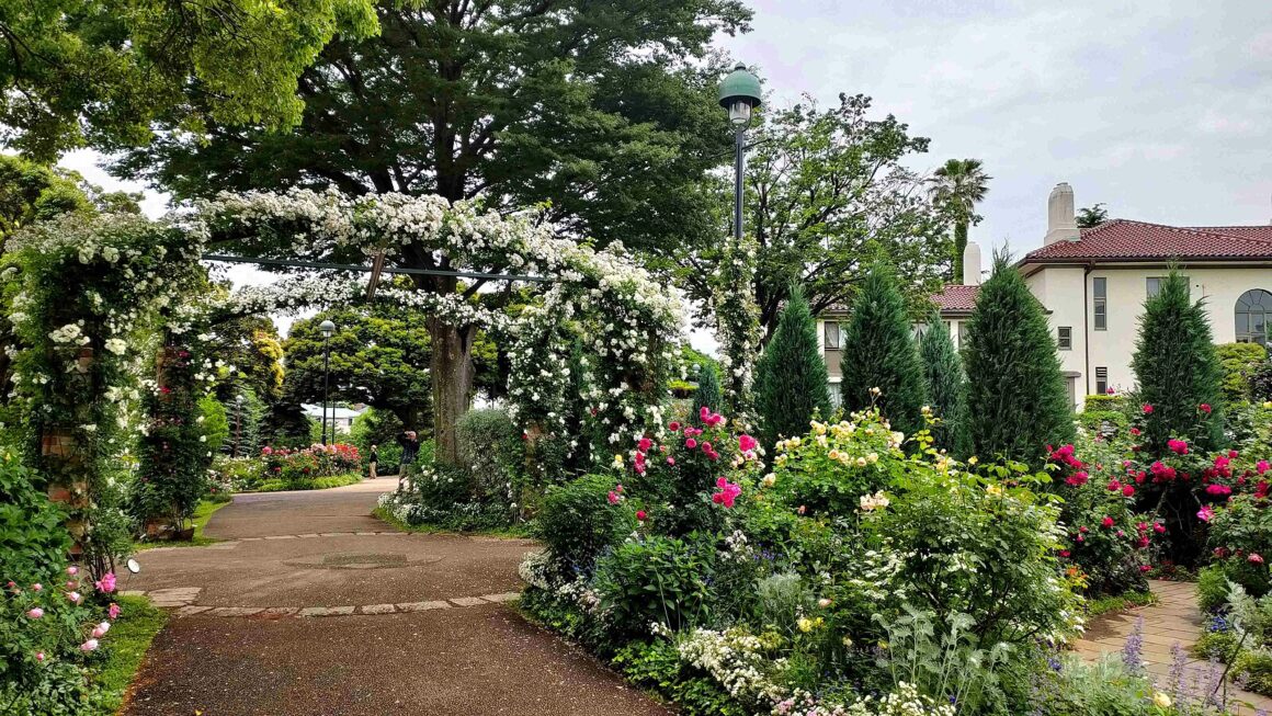 Harbor View Park: Yokohama’s Scenic Overlook of the Bay