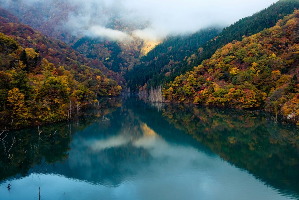 4 Stunning Campsites for Fall Foliage in the Kanto Region