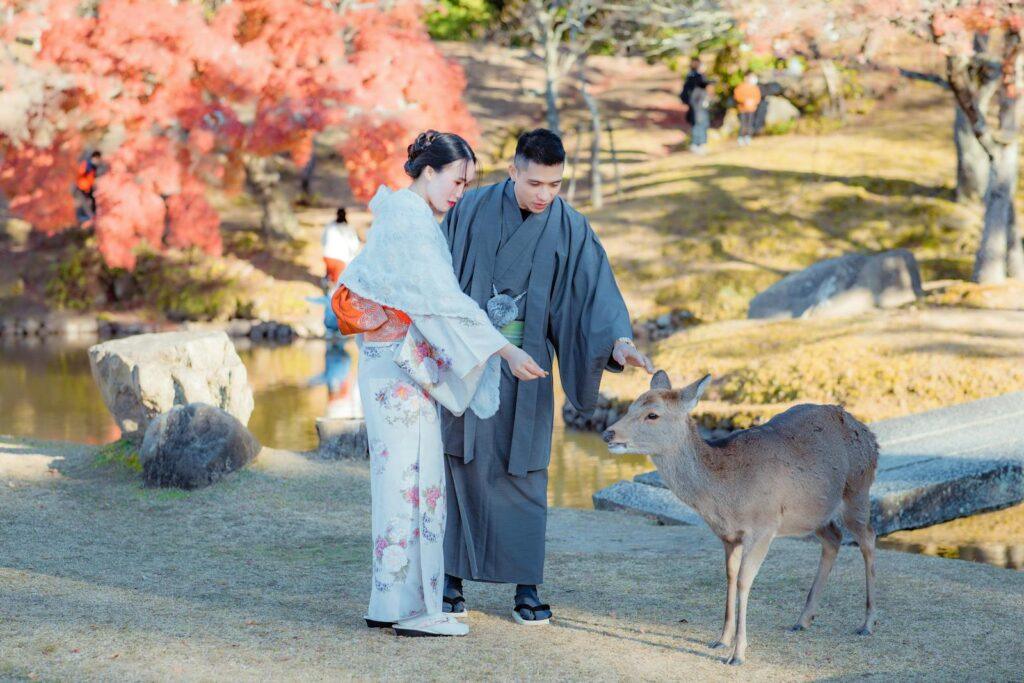 A couple in traditional Japanese attire feeding a friendly deer in a serene park setting during autumn.