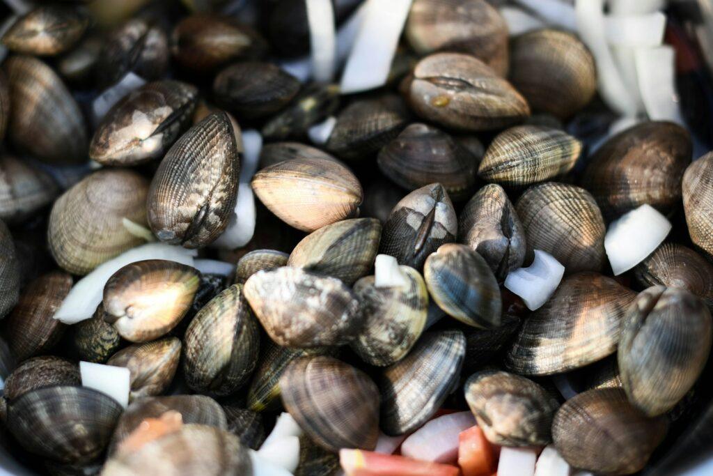 brown and black sea shells hamaguri