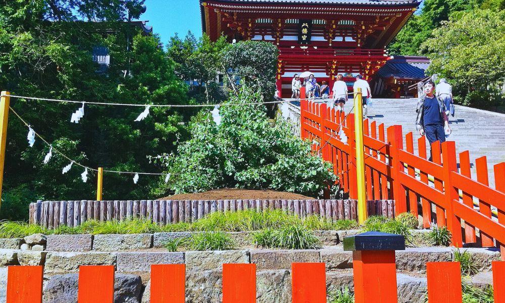 Kamakura-Tsurugaoka Hachimangu Kamakura-Tsurugaoka Hachimangu