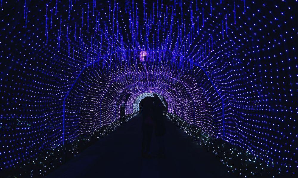 Kamakura festival guide-Jewels of Shonan