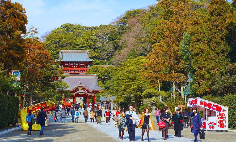 The Perfect Tsurugaoka Hachimangu Itinerary
