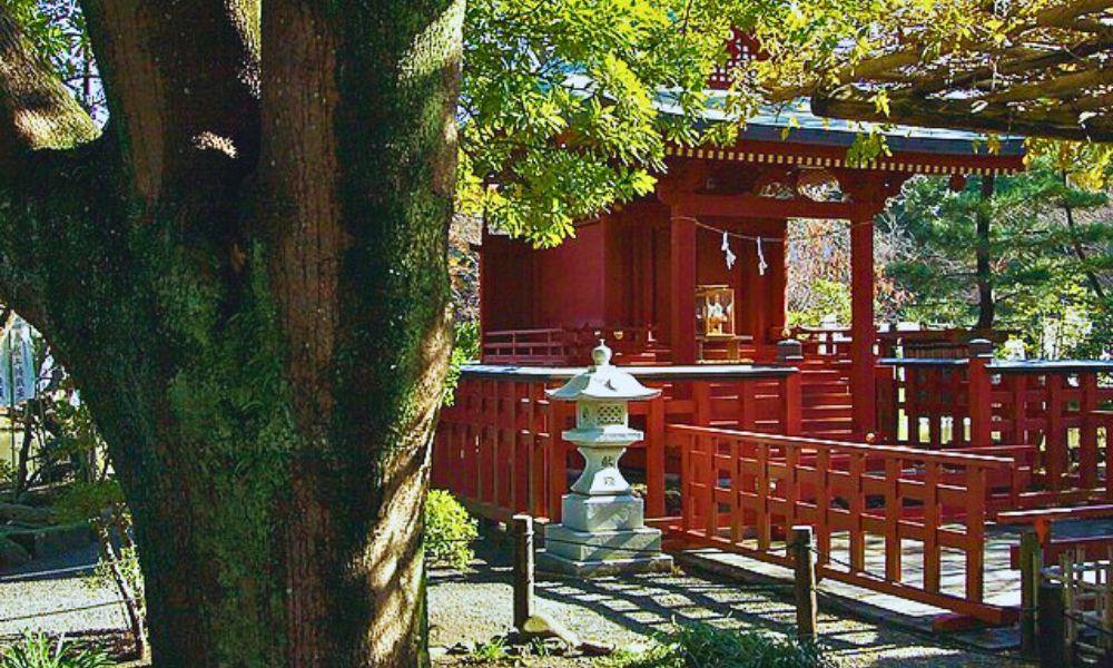 Kamakura-Tsurugaoka Hachimangu Kamakura-Tsurugaoka Hachimangu