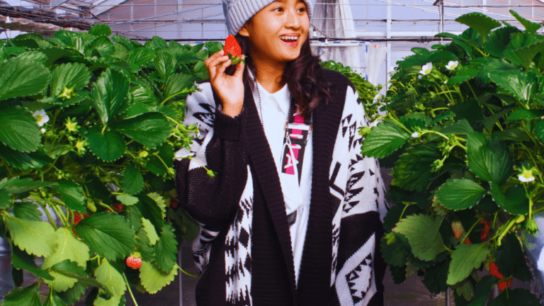 Strawberry picking Yokohama (Photo property of ThatJapanLife)