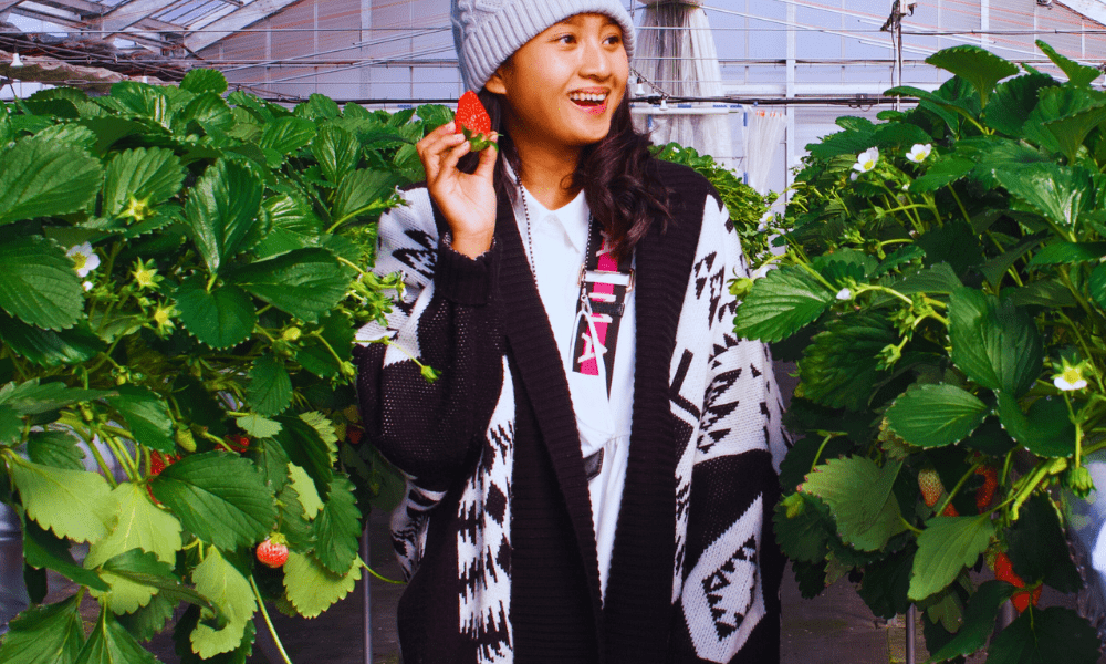 Strawberry Picking in Yokohama: The Ultimate Guide for Travelers