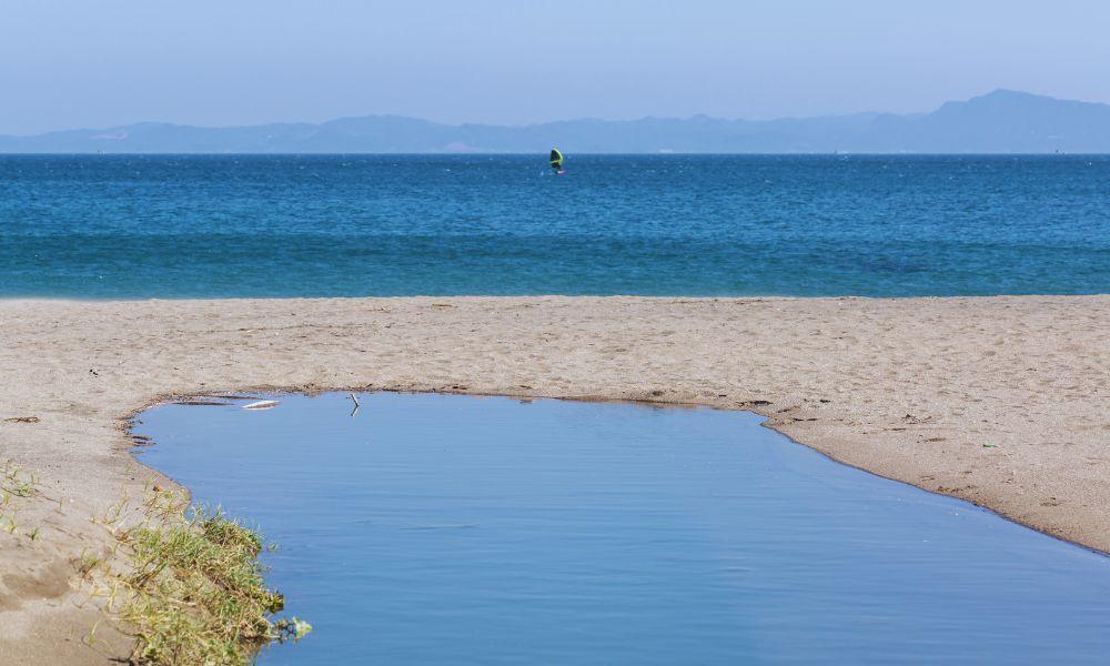 Misaki Maguro Day Trip Ticket Guide