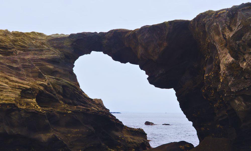 Misaki Maguro Day Trip Ticket Guide