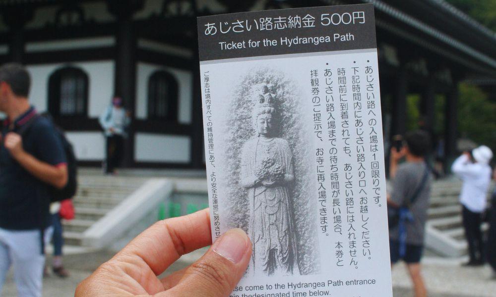 2026 Guide to the Hasedera Temple Hydrangeas