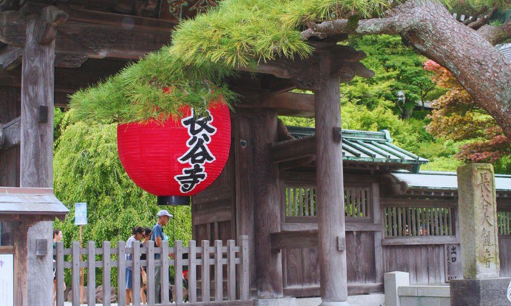 2026 Guide to the Hasedera Temple Hydrangeas
