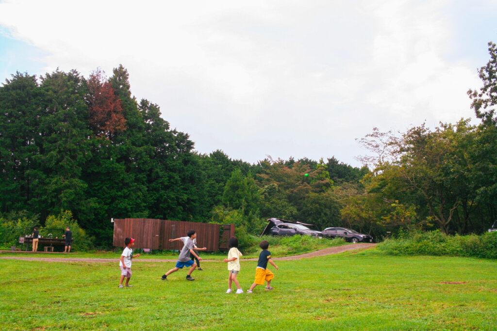 Negura Campground: An Honest Family Review of the Izu Hillside Campsite With a View Negura Campground: An Honest Family Review of the Izu Hillside Campsite With a View