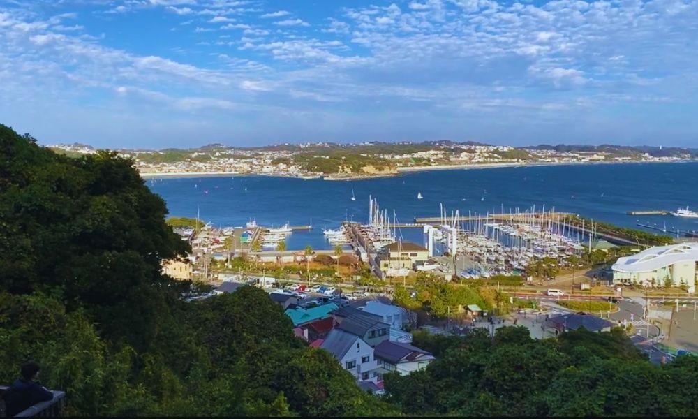 Enoshima Shrine Guide: Full Walkthrough, History & Tips