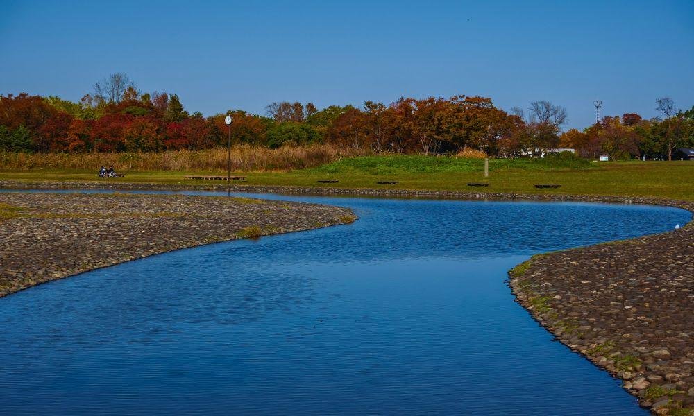 The Best Higanbana Spots Near Tokyo and Yokohama