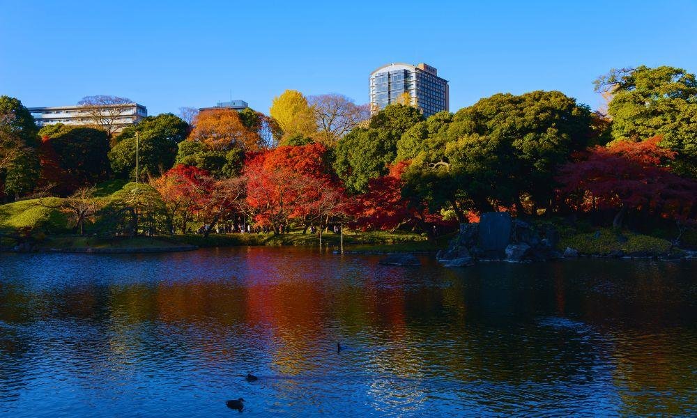 The Best Higanbana Spots Near Tokyo and Yokohama