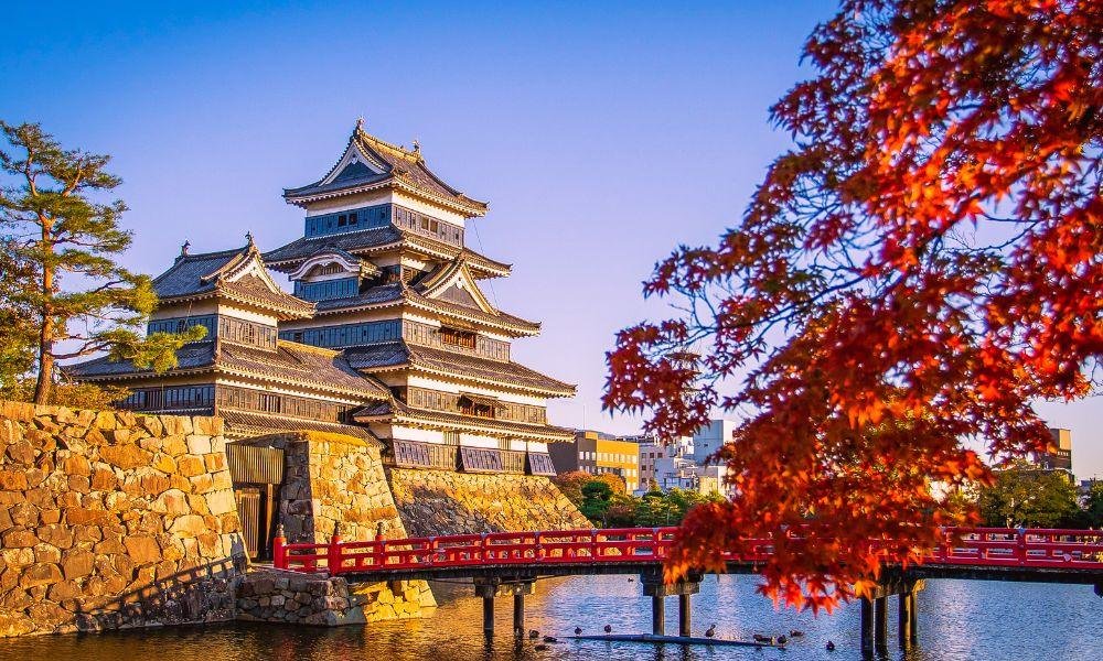 What to See in Japan in Autumn: A Month-by-Month Bloom Guide