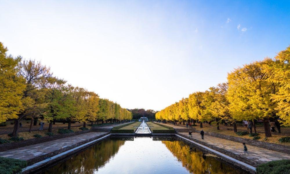 (Icho) What to See in Japan in Autumn: A Month-by-Month Bloom Guide