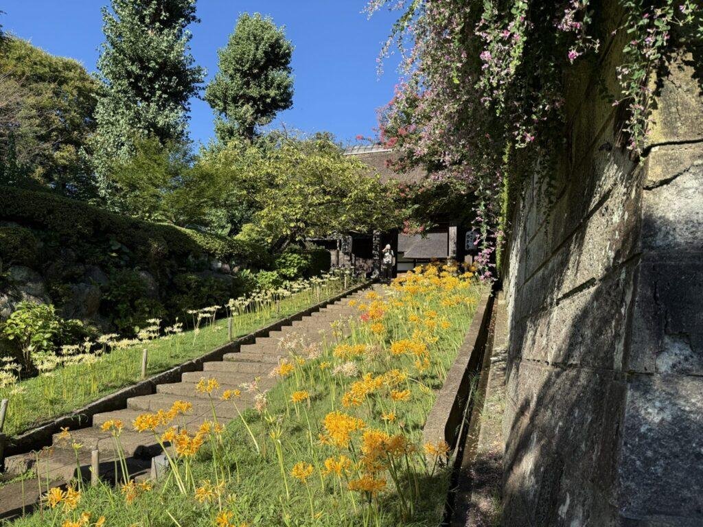 IMG_3528-2048x1536 Saihoji Temple (Yokohama)
