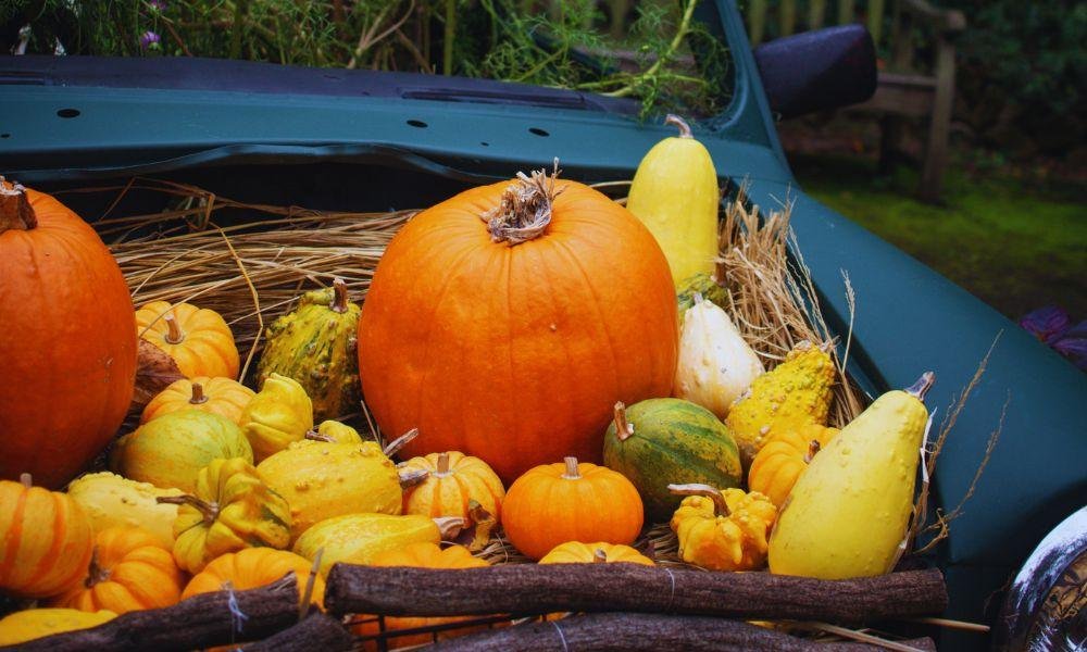 Yokohama English Garden Halloween Guide