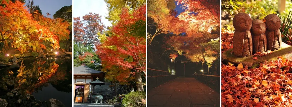 21 Best Things to Do in Yokohama in November 2026