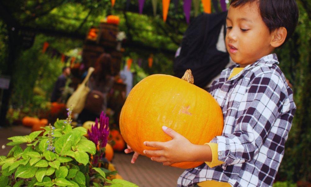 Yokohama English Garden Halloween Guide
